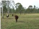 391 Dalgleish Road, Bororen QLD 4678