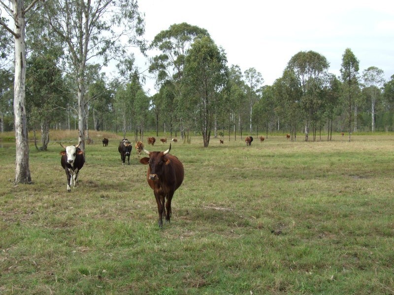 391 Dalgleish Road, Bororen QLD 4678