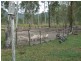 391 Dalgleish Road, Bororen QLD 4678