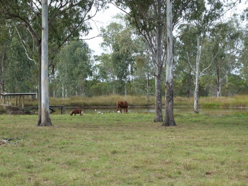 391 Dalgleish Road, Bororen QLD 4678