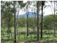 343 Dude Ranch Road, Iveragh QLD 4680