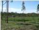 343 Dude Ranch Road, Iveragh QLD 4680
