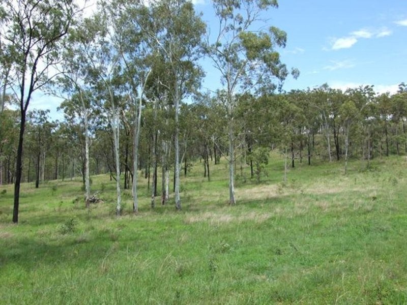 343 Dude Ranch Road, Iveragh QLD 4680