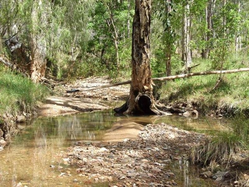 343 Dude Ranch Road, Iveragh QLD 4680