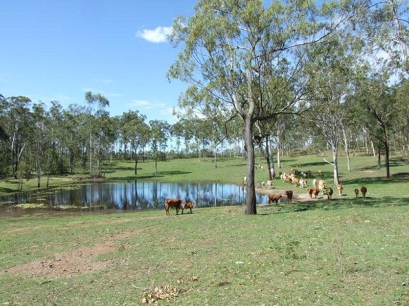 343 Dude Ranch Road, Iveragh QLD 4680
