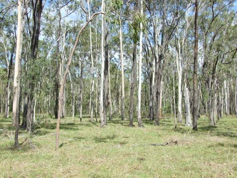 343 Dude Ranch Road, Iveragh QLD 4680