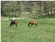 343 Dude Ranch Road, Iveragh QLD 4680