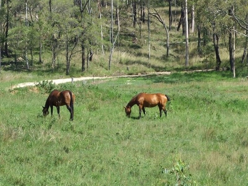 343 Dude Ranch Road, Iveragh QLD 4680