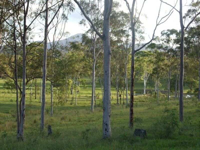 245 Wildman Road, Iveragh QLD 4680