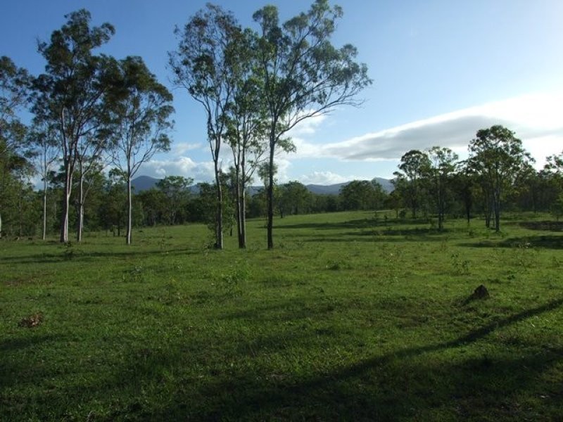 245 Wildman Road, Iveragh QLD 4680