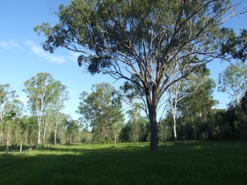 245 Wildman Road, Iveragh QLD 4680