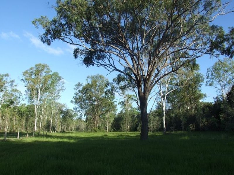 245 Wildman Road, Iveragh QLD 4680