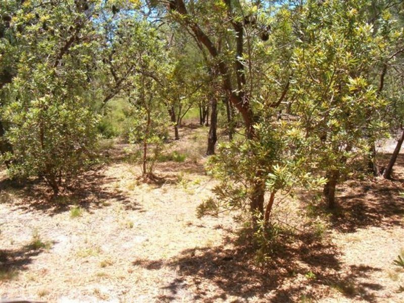 Lot 19 Springs Road, Agnes Water QLD 4677