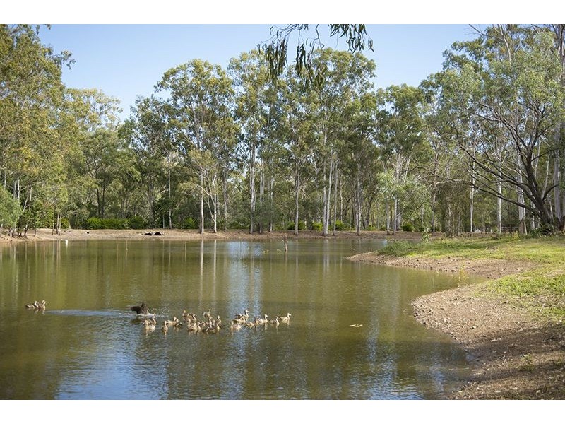 47 Williams Road, Burua QLD 4680