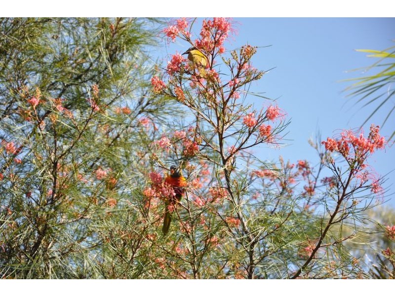 2 Yalkarra Crescent, Wurdong Heights QLD 4680