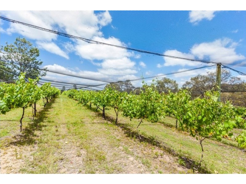 89 Pierces Creek Road, Crows Nest QLD 4355
