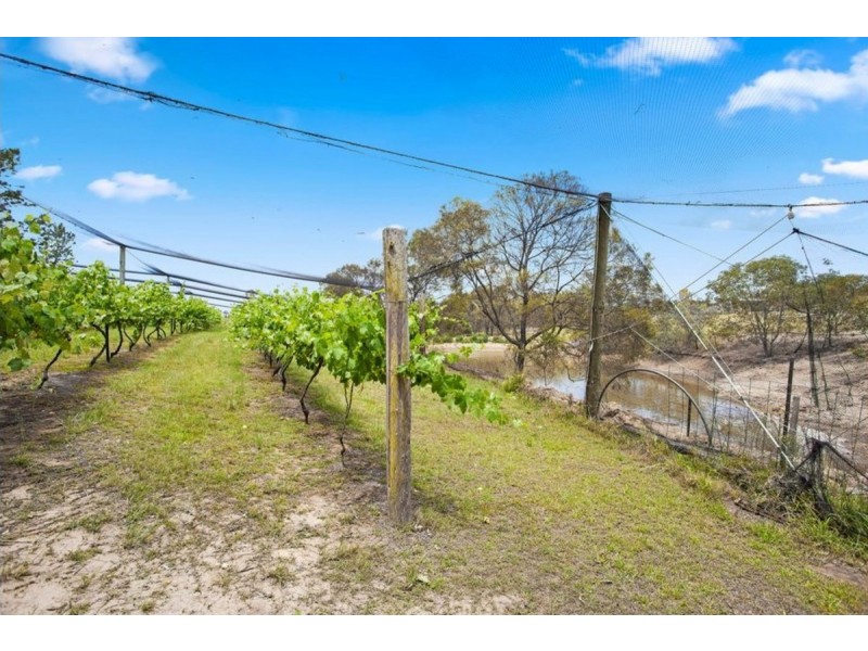 89 Pierces Creek Road, Crows Nest QLD 4355