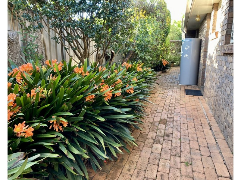 6 Jull Drive, Centenary Heights QLD 4350