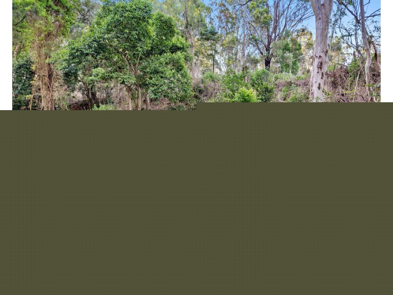 921 Toowoomba Connection Road, Withcott QLD 4352