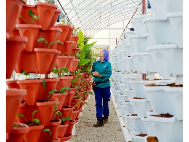 10172 New England Highway, Cabarlah QLD 4352