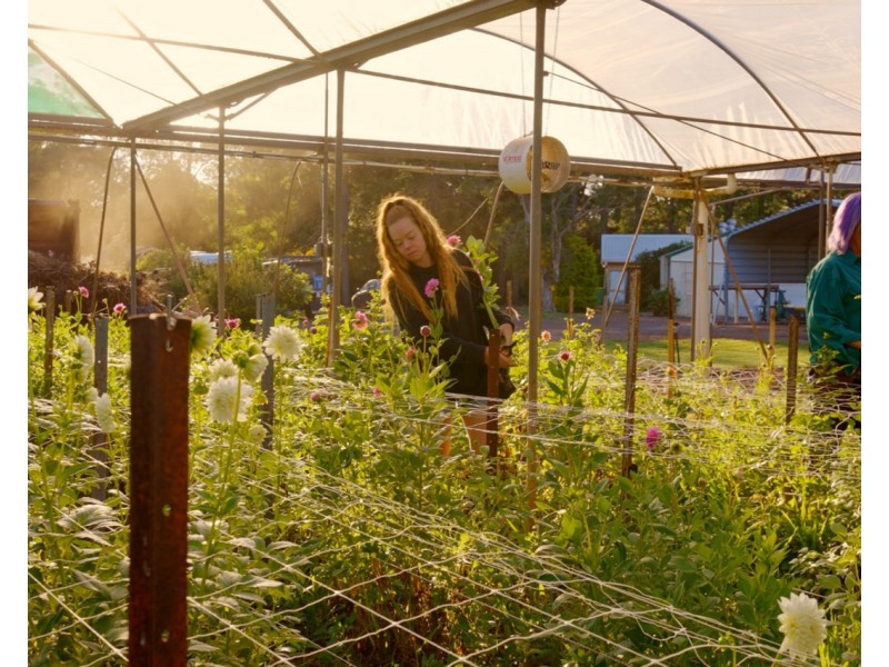 10172 New England Highway, Cabarlah QLD 4352