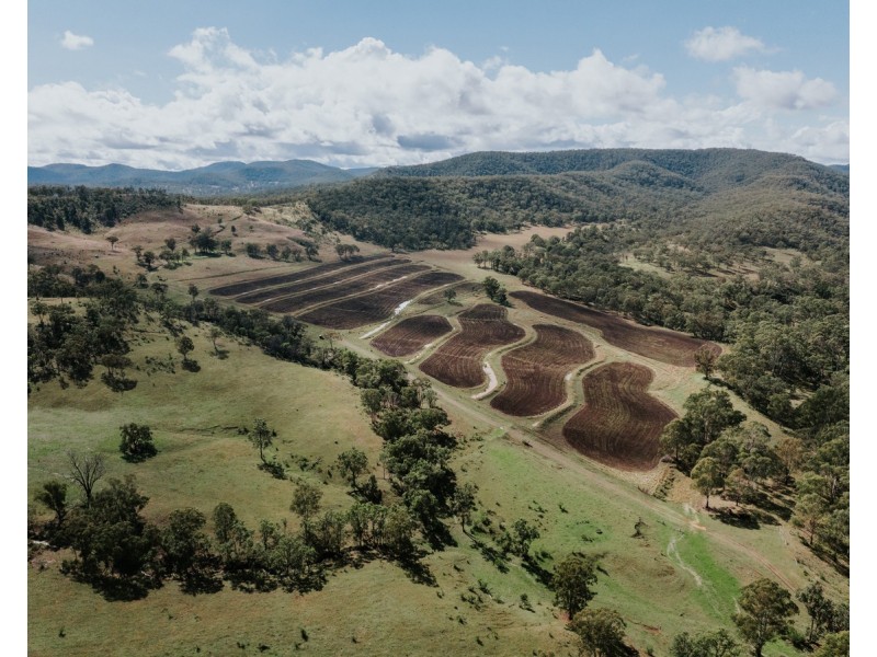 1006 North Branch Road, Goomburra QLD 4362