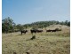 1006 North Branch Road, Goomburra QLD 4362