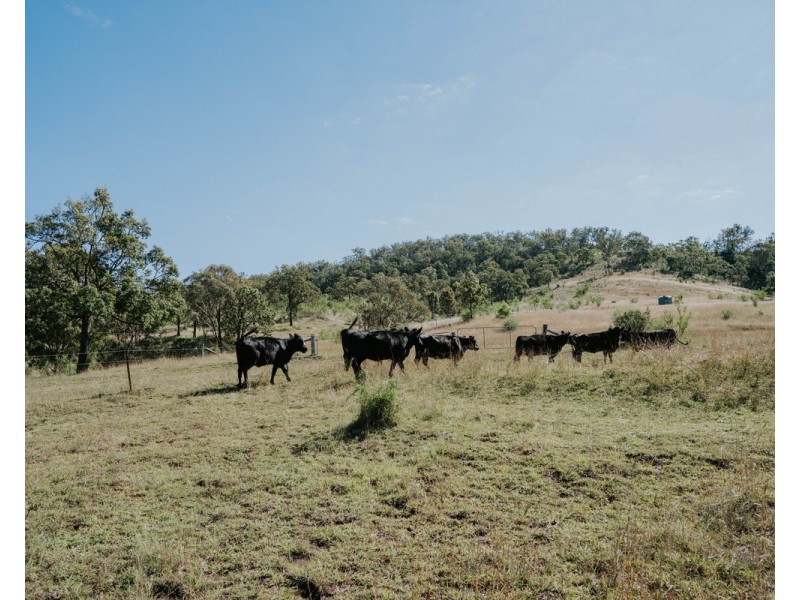 1006 North Branch Road, Goomburra QLD 4362