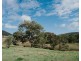 1006 North Branch Road, Goomburra QLD 4362