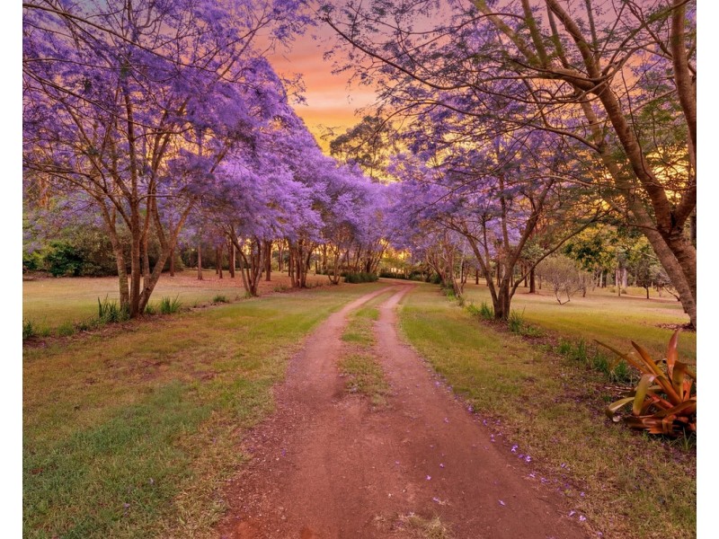 369 Haynes Kite Millar Road, Blackbutt South QLD 4306