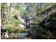 12 Breynia Court, Elanora QLD 4221