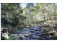 12 Breynia Court, Elanora QLD 4221
