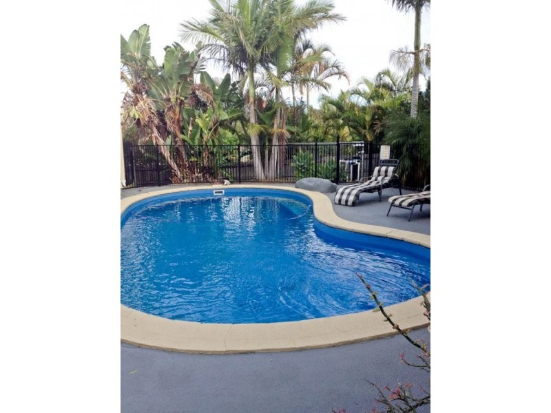 55 Gippsland Dr, Helensvale QLD 4212