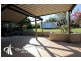12 Bushtree Court, Burleigh Waters QLD 4220