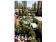 5 Enderley Avenue, Surfers Paradise QLD 4217