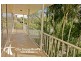 Tugun QLD 4224