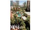 5 Enderley Avenue, Surfers Paradise QLD 4217