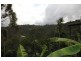 Tallebudgera Valley QLD 4228