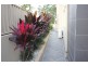 Robina QLD 4226