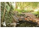 101 Mudgeeraba Road, Worongary QLD 4213