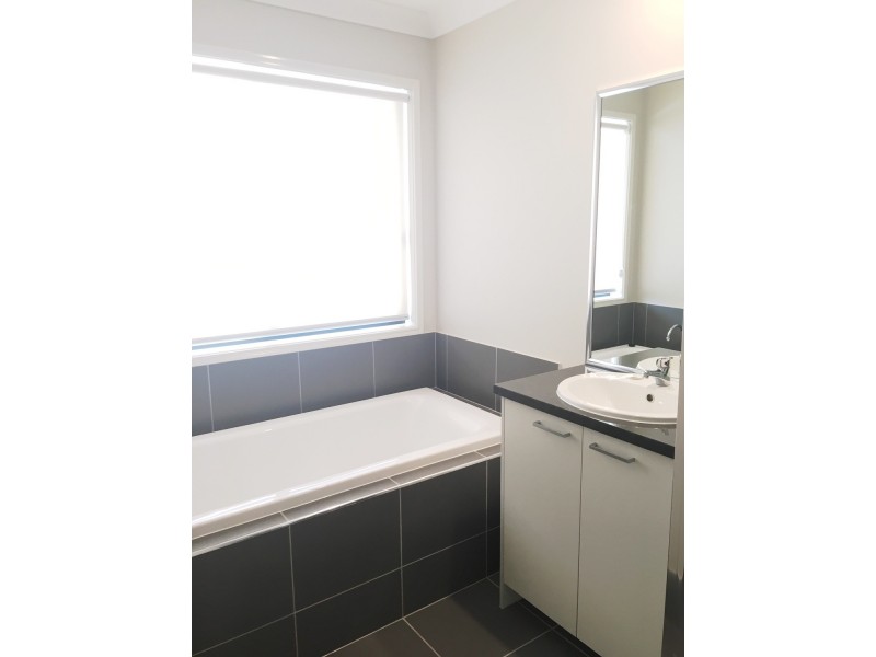 43 Stephens Street, Upper Coomera QLD 4209