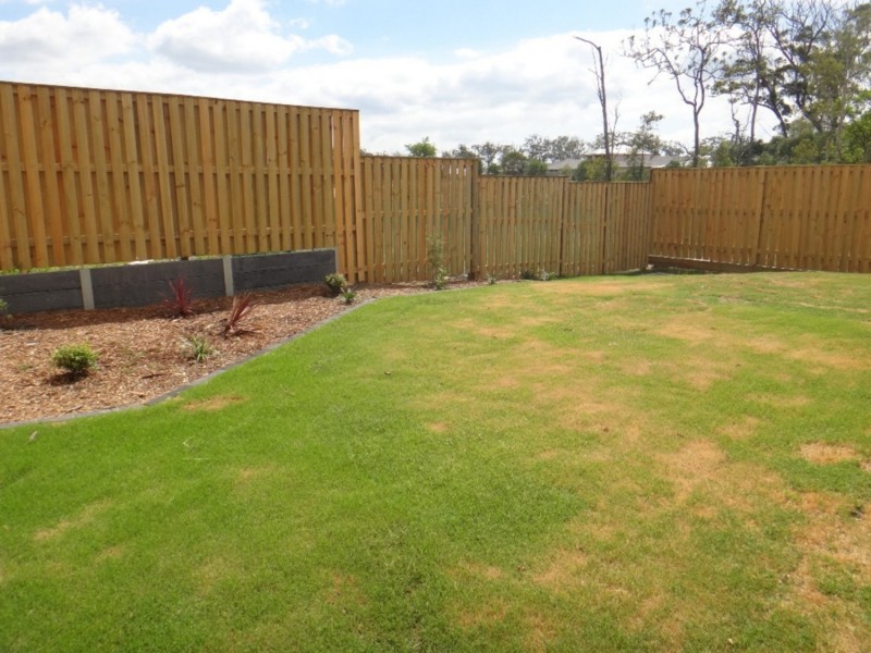 49 Orlando Drive, Coomera QLD 4209