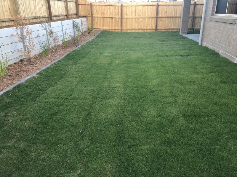 13 Coldstream Place, Pimpama QLD 4209