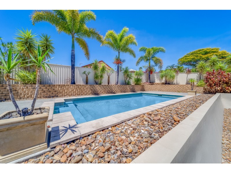 47 Daintree Drive, Parkwood QLD 4214