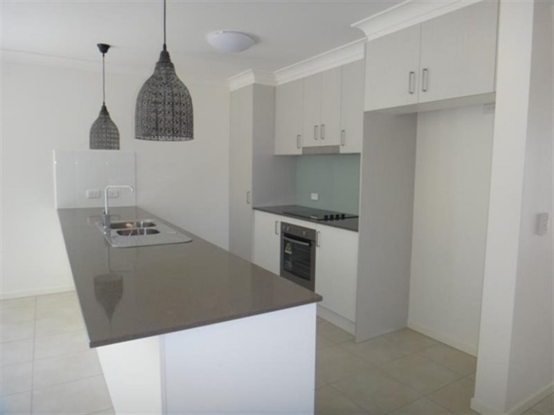 14 McAllisters Crescent, Coomera QLD 4209