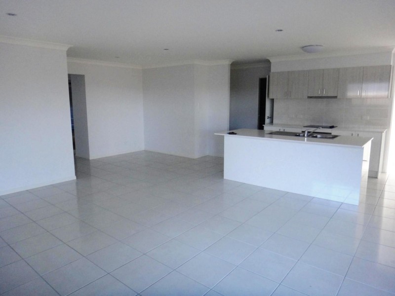 20 Hasemann Crescent, Upper Coomera QLD 4209