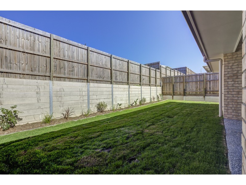 53 Colorado Street, Bahrs Scrub QLD 4207