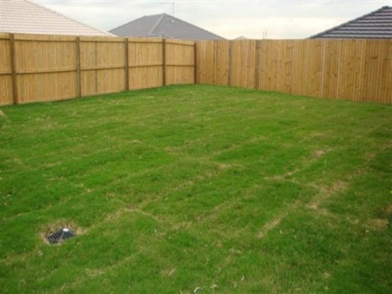 22A Gumtree Circuit, Upper Coomera QLD 4209