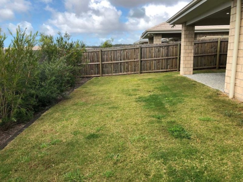 14 Benwerrin Street, Pimpama QLD 4209