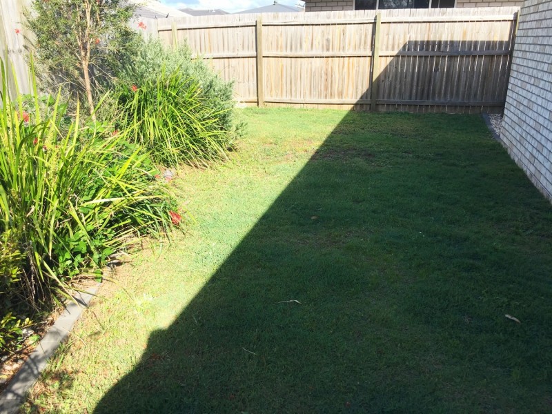 61 William Boulevard, Pimpama QLD 4209